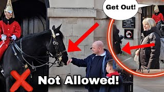 NO WAY!😳 The moment he TOUCHED the horse and clearly ignored the sign!