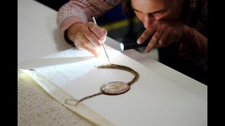 Unravelling the secrets of the seal
