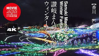 香川　讃岐まんのう公園　ウィンターファンタジー  4K  Sanuki Mannou Park Winter Fantasy