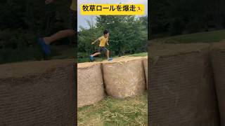 【超神業シリーズ】⑥巨大な牧草ロールを爆走💨 非日常体験を積むチャンス💯 北海道鷹栖町💫 8歳のスティーブ‼️ #ninjya #shorts #太鼓  #神業 #牧草ロール