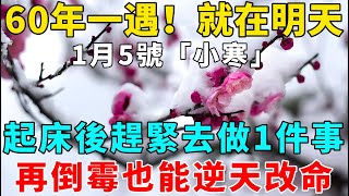 60年一次，就在明天！1月5號「小寒」，起床後趕緊去做1件事，再倒霉也能逆天改命！【禪意】#生肖 #運勢 #風水 #財運#命理#佛教 #人生感悟