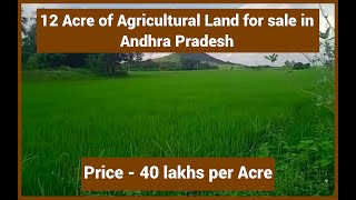 Andhra Pradesh : 12 Acre of Agricultural Land for sale located at Koti Kesavaram, East Godavari Dist