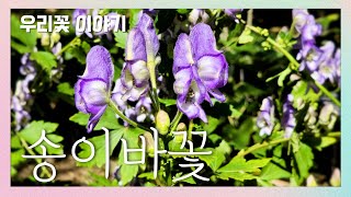 송이바꽃 [국립수목원 우리꽃 이야기. 101]