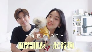 情侣Vlog｜一定要和男朋友一起养一只狗狗呀～