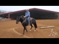 How to Drag a Log - Mozaun McKibben