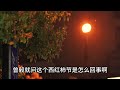 第二百五十二集 【首席医官】首席法医 在高手如林的医学界脱颖而出，仅用三副中药便解除了一位领导夫人灌肠之痛的病根，备受青睐 从此以后扶摇直上｜官场｜中医｜腐败｜官僚｜医术｜绝技｜脱口有声书｜精彩绝伦