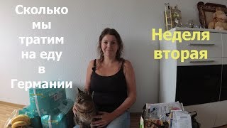 Недельная закупка продуктов в Германии /Цены на продукты /Сколько мы тратим на еду /Жизнь в Германии