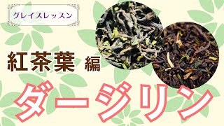 【紅茶葉】意外と知らないダージリンの世界