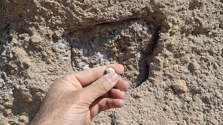 اگه به دنبال جاساز گنج هستی این نکات رو یادبگیر