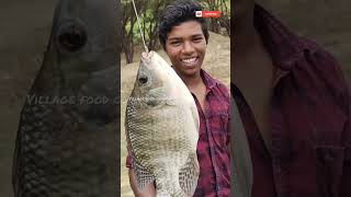 தூண்டிலில் மண்புழு பயன்படுத்தி ஜிலேபி மீன் வேட்டை | Tilapia fish hunting useing earthworm #shorts