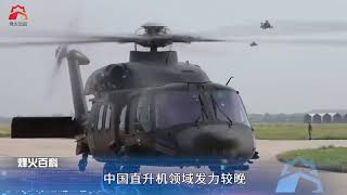 装上这俩重武器，直20变身重型武直，可向岛屿滩头猛烈倾泻弹雨