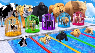 Animals Choose The Right Key With Cow Mammoth Elephant Gorilla Lion Tiger Wild Animals Matching Game