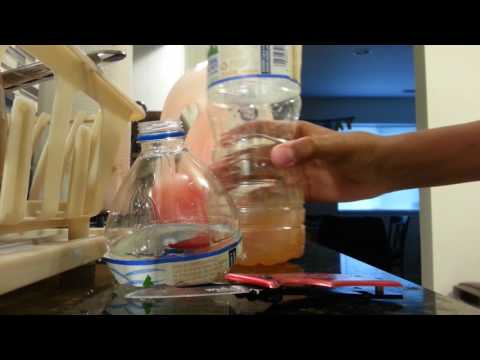 How to get rid of gnats/fruit flies the Easy way How to get rid of gnats/fruit flies the Easy way