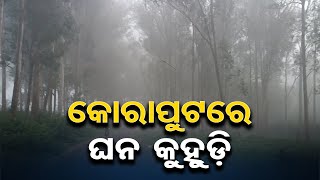 କୋରାପୁଟରେ ଘନ କୁହୁଡି   | Koraput Experienced Dense Fog | Odisha Reporter #sunabeda #koraput