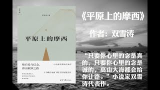 【有声书】《平原上的摩西》（“只要你心里的念是真的，只要你心里的念是诚的，高山大海都会给你让路。”小说家双雪涛代表作。）