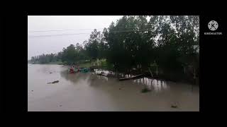 চর সরিষাবাড়ি। ঝালোপাড়া ব্রিজ।Char Sarisabari Jhalopara Bridge 2022