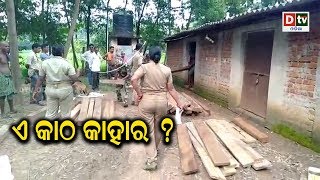 ଏ କାଠ କାହାର ? | Odia news live updates #dtvodia