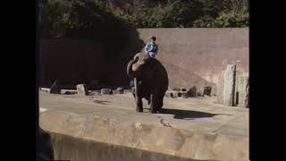 1995年11月4日 横浜市金沢区「金沢動物園」