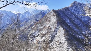 终南山第8场雪，出门就是梦幻的雪景，一个人在此隐居修行你敢吗