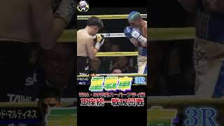 井岡一翔 vs フェルナンド・マルティネス WBA・IBF世界スーパーフライ級王座統一戦 12回戦 ABEMA 格闘技ch【切り抜き】#Shorts #abema格闘