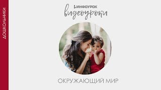 Воздух | Дошкольники | Окружающий мир #19 | Инфоурок