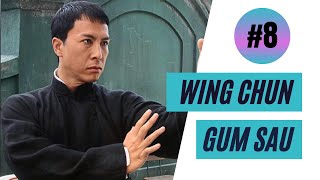 Wing Chun martial arts technique - The Gum Sau