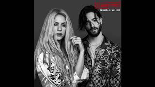 Shakira - Clandestino (feat. Maluma) [Audio Official]