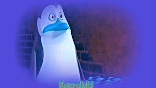 Kowalski POM