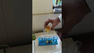 Analysis Of fruit Juices| Carbohydrates| Fehlings test| Class 12 Chemistry Project