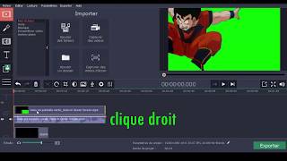 Green Screen replacement Movavi Video Editor