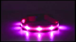MASBRILL LED LIGHT UP DOG COLLAR,YOU ARE WORTH IT