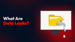 What Are Data Leaks?