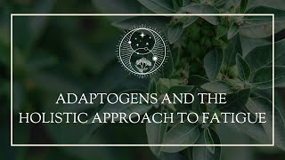 Adaptogens and the Holistic Approach to Fatigue