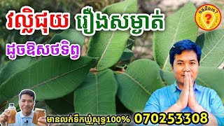 Advantages of Streptocaulon juventas Lour Merr អត្ថប្រយោជន៍របស់វល្លិ៍ជុយ 1080p