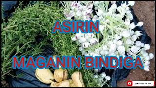 ASIRIN MAGANIN BINDIGA MUJARRABI