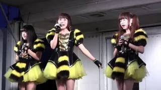 蜂蜜★皇帝 (はちペラ) ／ 第12回本巣市 花とほたる祭り 2016年6月4日