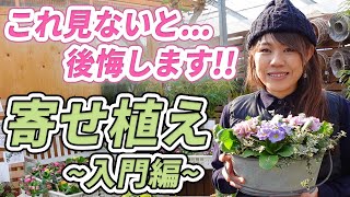 【これでOK！】あなたも間違えているかも⁉寄せ植えのコツを徹底解説します♪【初心者向け】【ガーデニング】【園芸チャンネル】