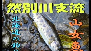 2016.10.30　「つり部会」　北海道十勝川水系然別川支流　★山女魚と出会える帯広近郊の渓流★　ピコ太郎世代の釣り動画