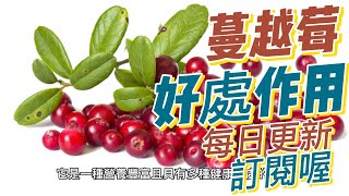 EP165 蔓越莓（Cranberries）好處和作用：改善消化功能 維護口腔健康 預防尿道感染 健