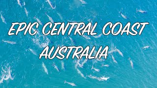 CENTRAL COAST NSW EPIC DRONE VIDEO