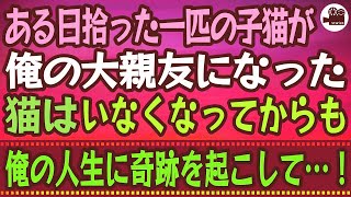 【感動する話】ある日拾った一匹の子猫が俺の大親友になった。猫はいなくなってからも俺の人生に奇跡を起こして…！