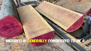 Discovering Dark Red Meranti wood