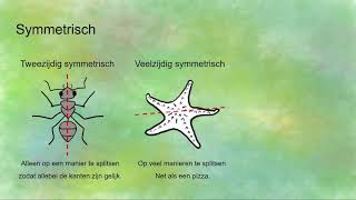 Ordening bij dieren - gewervelde en ongewervelde