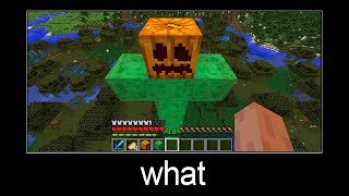 Minecraft wait what meme part 30