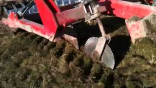 Spaldings flat lifter on grass land