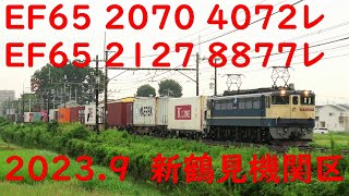 EF65 2070 2127 4072レ 8877レ 2023.9.22