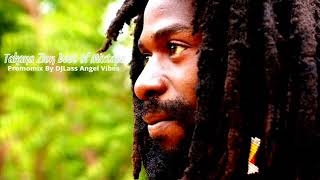 Takana Zion Best Of Reggae Mixtape By DJLass Angel Vibes (June 2018)