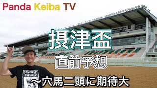 【摂津盃】2022 直前予想〜パンダ競馬TV