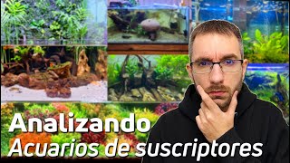 🕵️ Acuarios de Suscriptores Nº61: Desafíos y Soluciones para un Acuario Perfecto