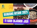 Cara Membuat Bawang Hitam (Black Garlic) 2021, 11 Hari dijamin jadi.